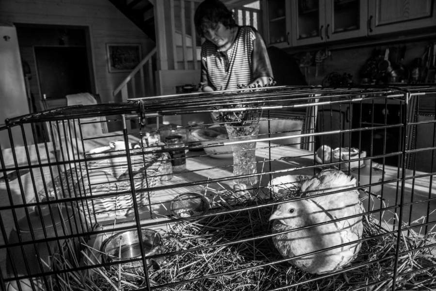 Спрятанный мир