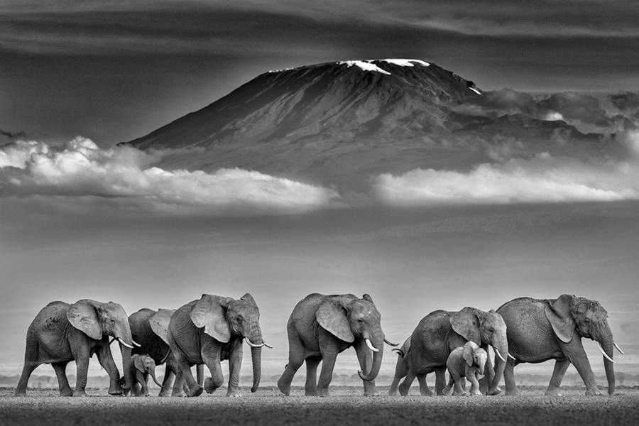Monochrome Photography Awards 2022