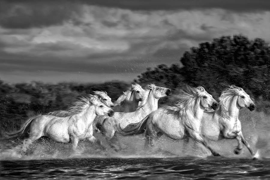 Monochrome Photography Awards 2022