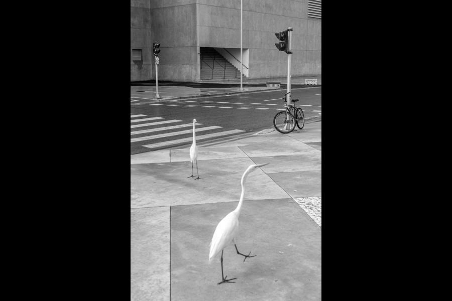 Monochrome Photography Awards 2022