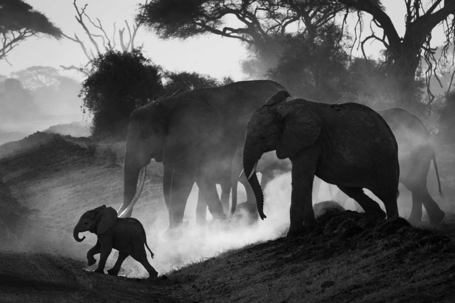 Monochrome Photography Awards 2022