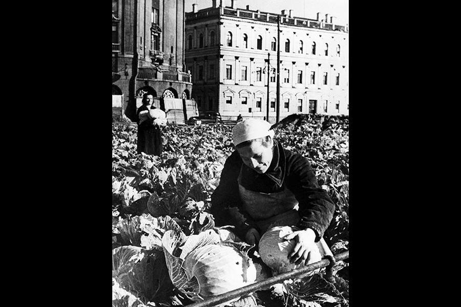 Блокада Ленинграда