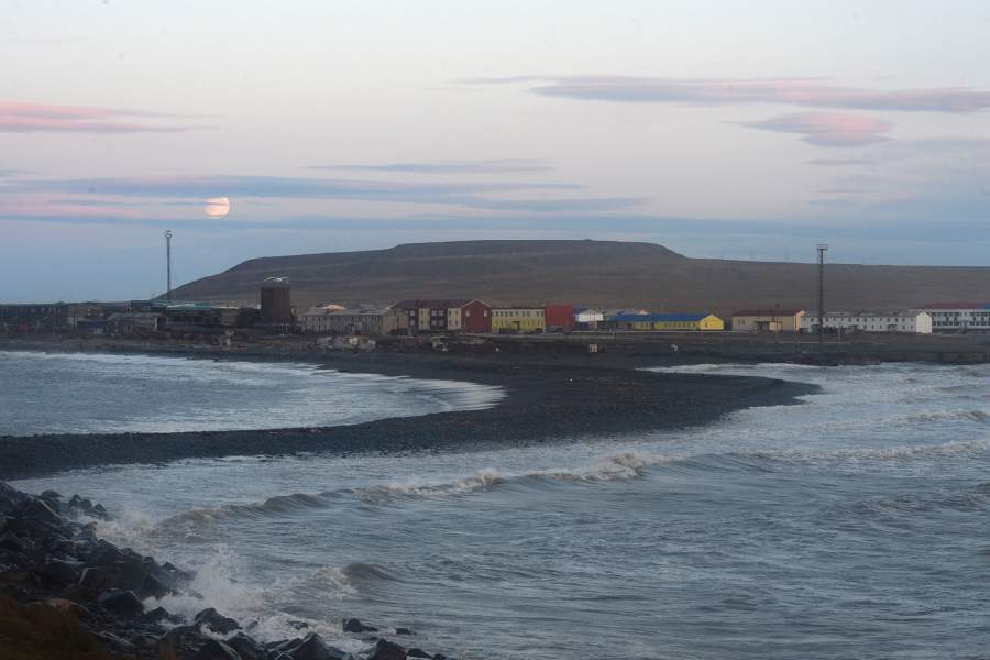 Моржовый патруль