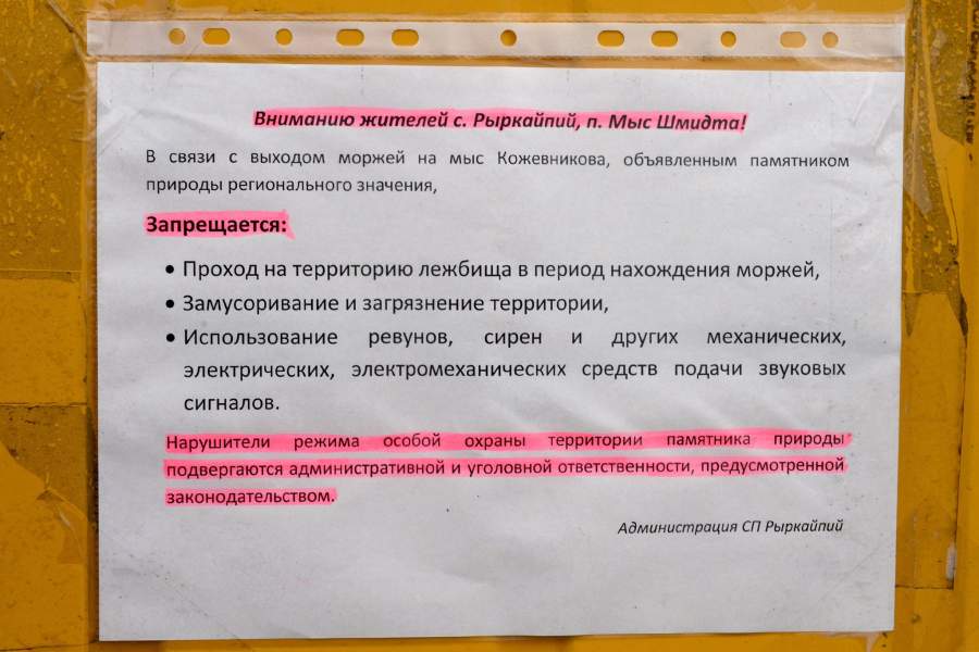 Моржовый патруль