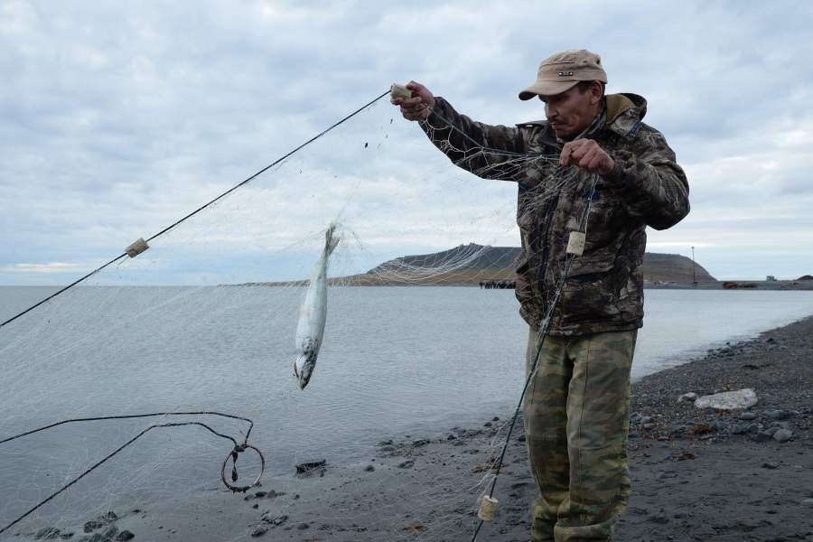 Моржовый патруль