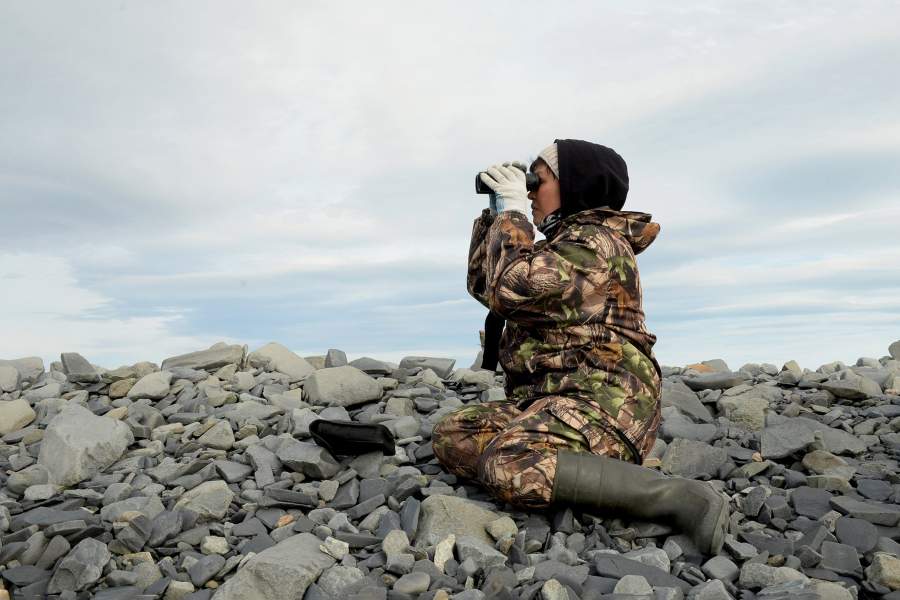 Моржовый патруль