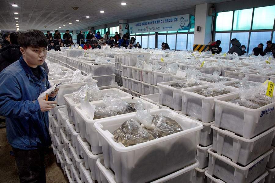 Устричная ферма в Южной Корее