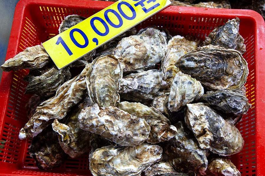 Устричная ферма в Южной Корее