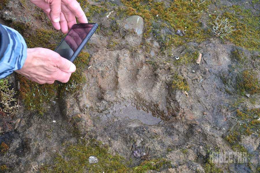 Острова Известий