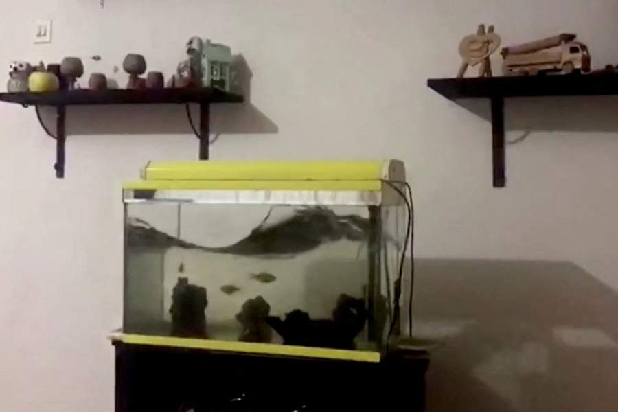 Землетрясение в Турции