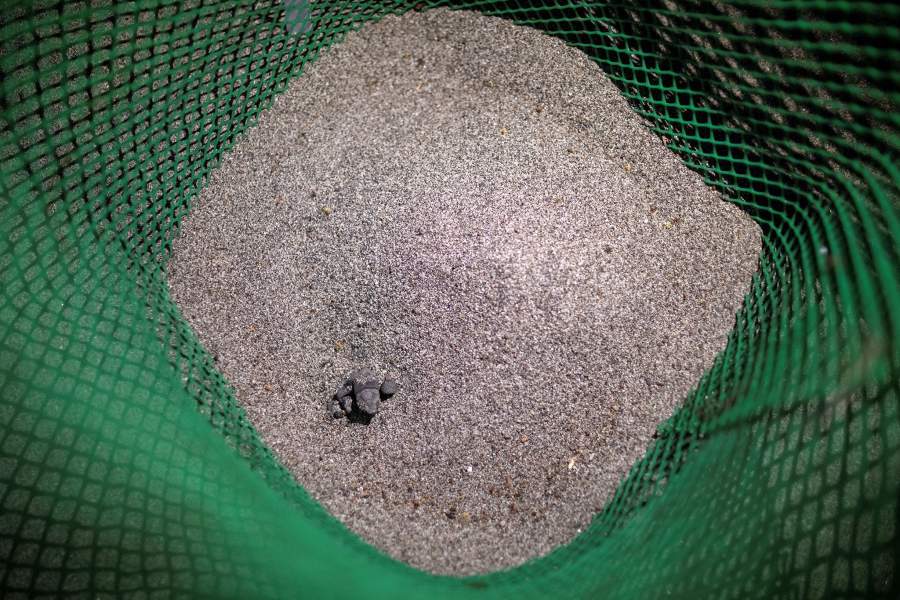 Как филиппинские браконьеры превратились в защитников морских черепах