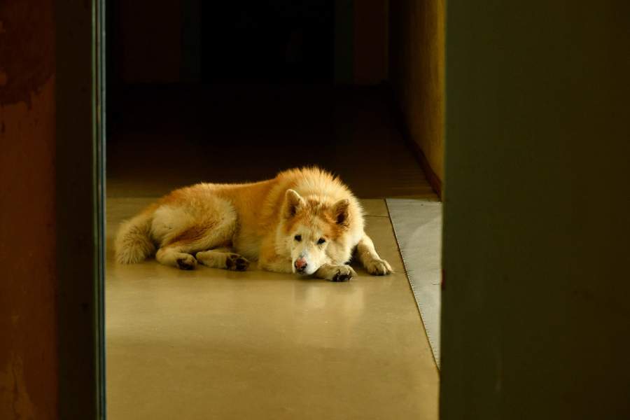 Как живет смотритель метеостанции в чукотском поселке Уэлен