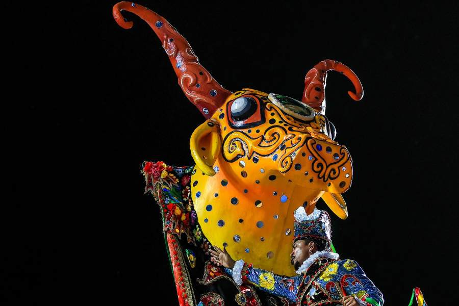 Карнавал в Рио