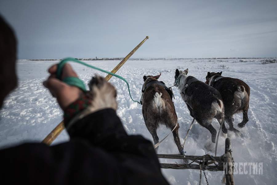 Жизнь в Воркуте