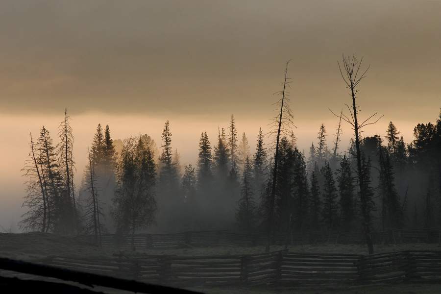 Мараловоды на Алтае