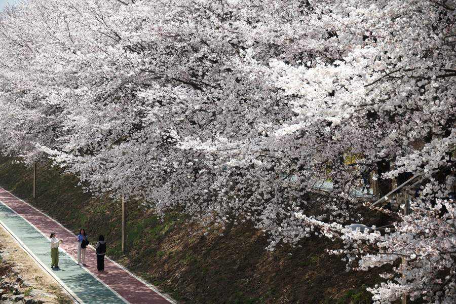 Фото прошедшей недели