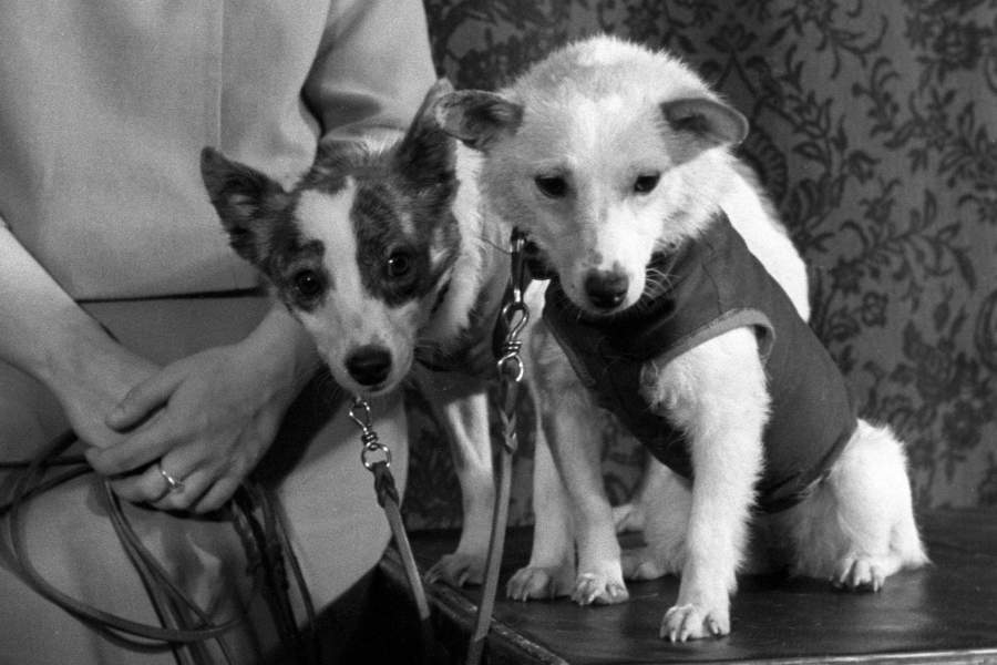 Архивные фото к Дню космонавтики