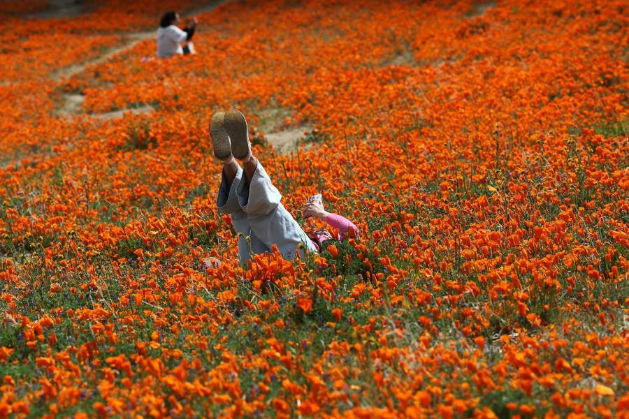 Фото прошедшей недели