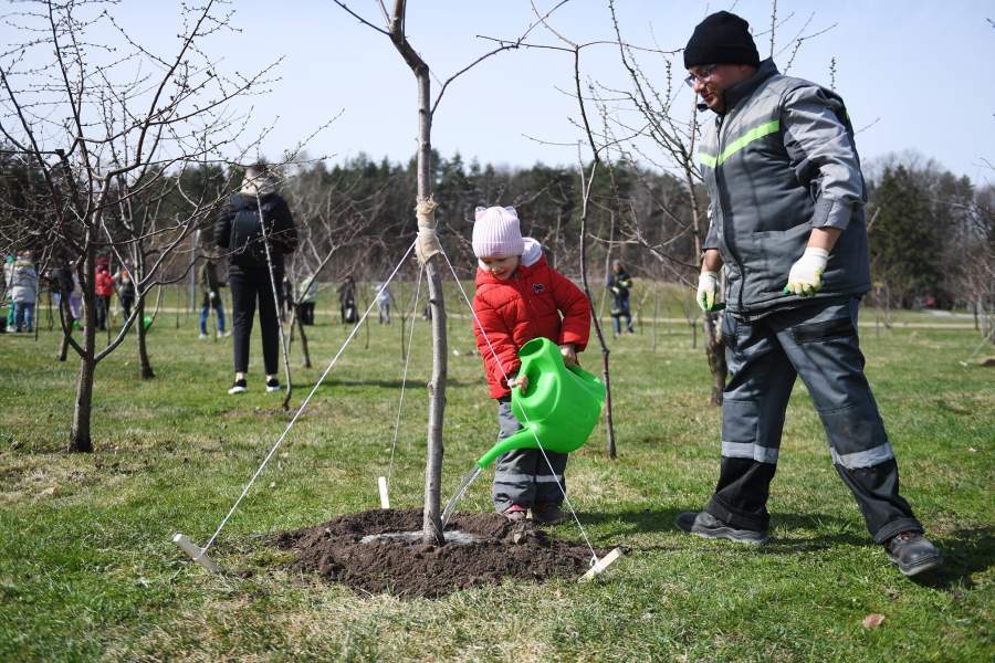 Фото прошедшей недели