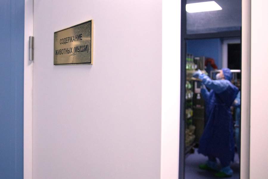 Виварий НМИЦ онкологии Минздрава РФ, Ростов-на-Дону