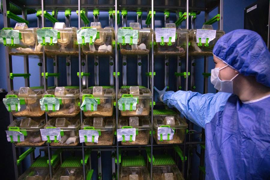 Виварий НМИЦ онкологии Минздрава РФ, Ростов-на-Дону