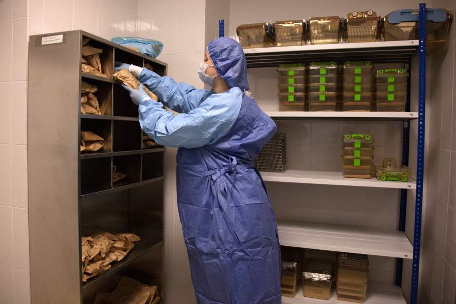 Виварий НМИЦ онкологии Минздрава РФ, Ростов-на-Дону