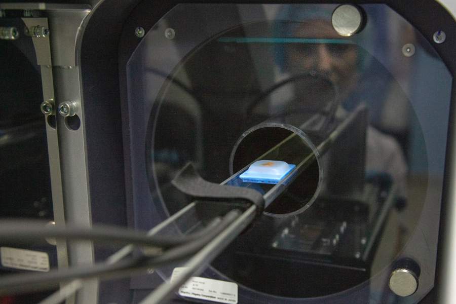 Виварий НМИЦ онкологии Минздрава РФ, Ростов-на-Дону