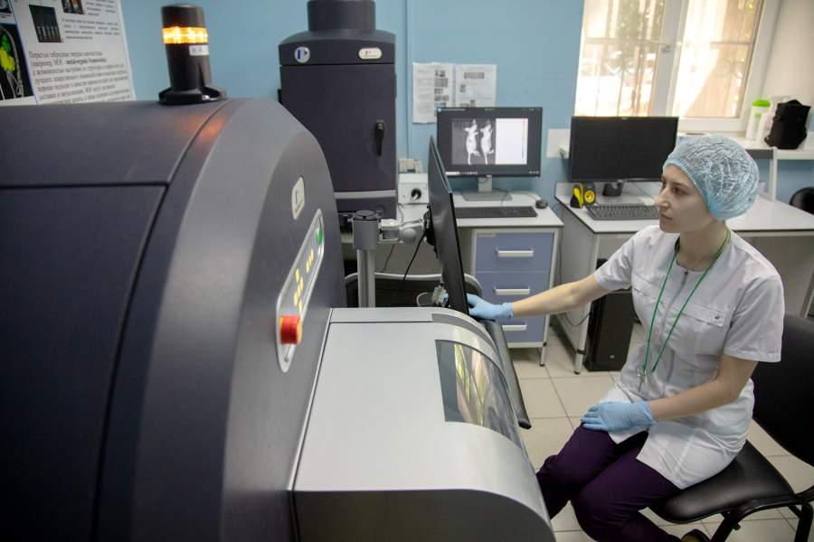 Виварий НМИЦ онкологии Минздрава РФ, Ростов-на-Дону