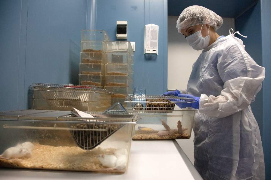 Виварий НМИЦ онкологии Минздрава РФ, Ростов-на-Дону