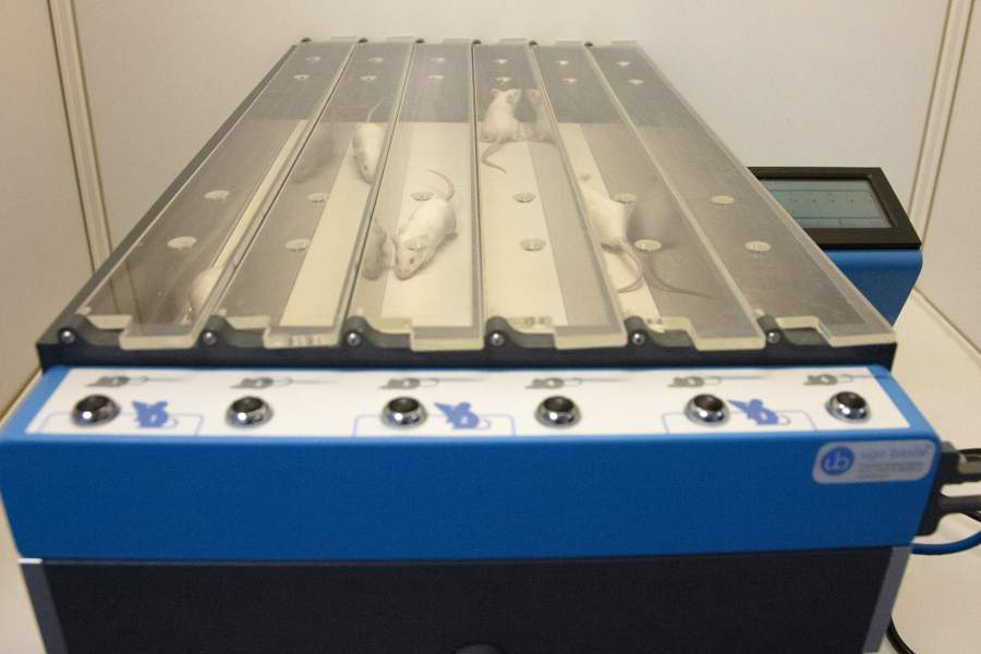 Виварий НМИЦ онкологии Минздрава РФ, Ростов-на-Дону