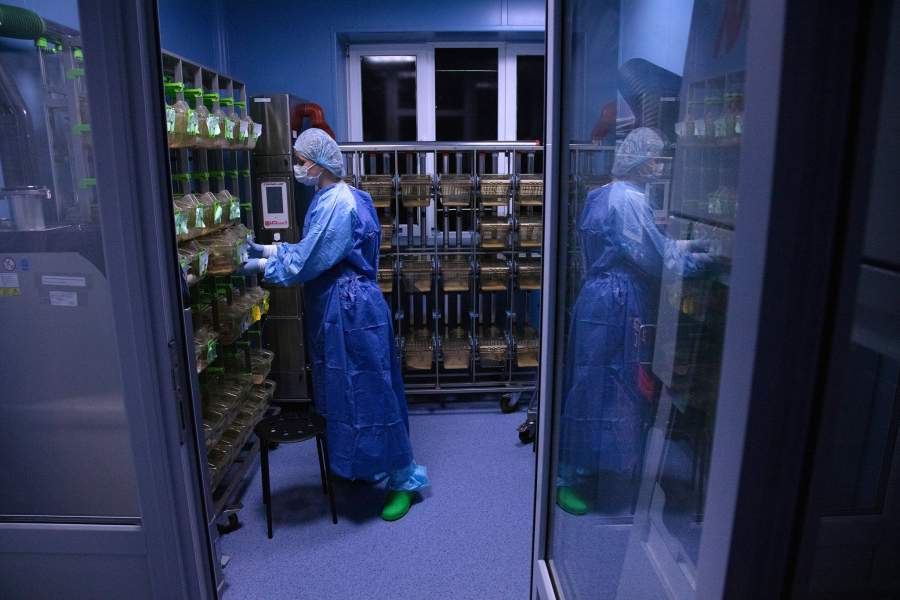 Виварий НМИЦ онкологии Минздрава РФ, Ростов-на-Дону