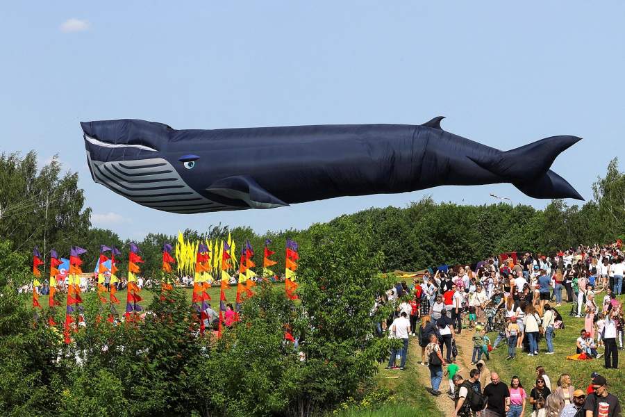 Фото прошедшей недели