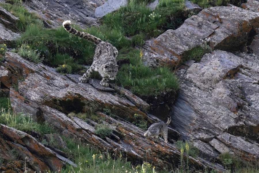 Победители и финалисты фотоконкурса The Big Picture 2023