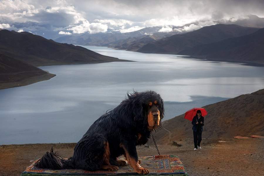 Как живут тибетцы