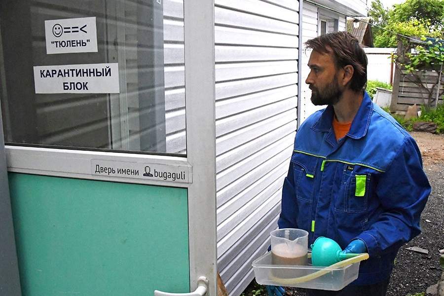 Как работает Центр реабилитации морских млекопитающих «Тюлень»