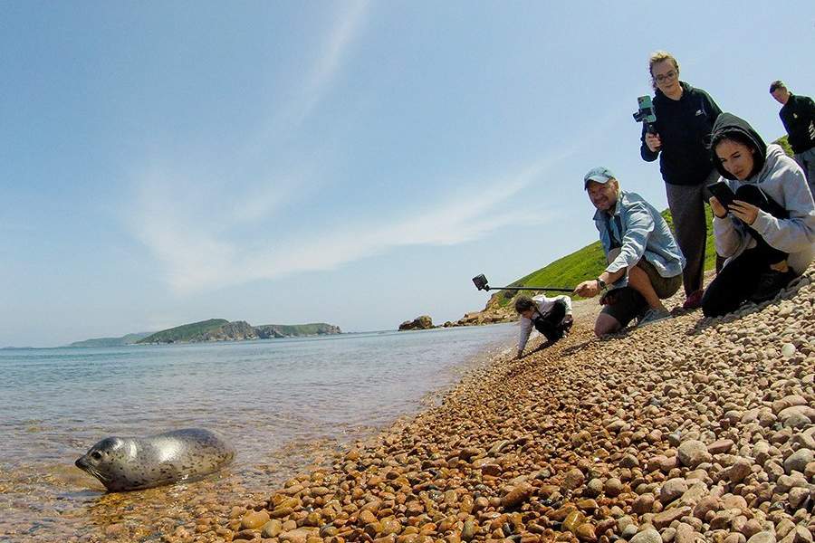 Как работает центр реабилитации морских млекопитающих «Тюлень»