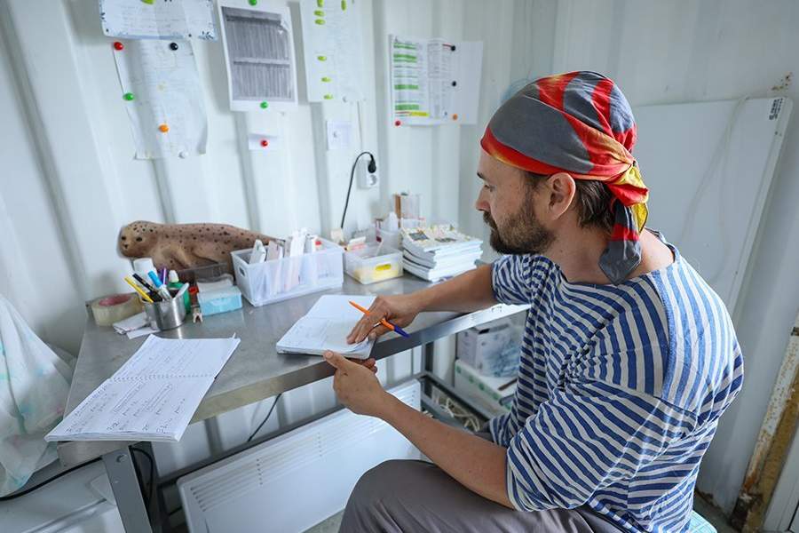 Как работает Центр реабилитации морских млекопитающих «Тюлень»