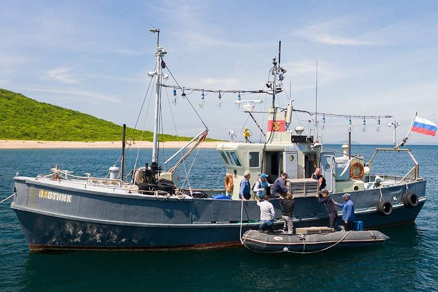 Как работает Центр реабилитации морских млекопитающих «Тюлень»