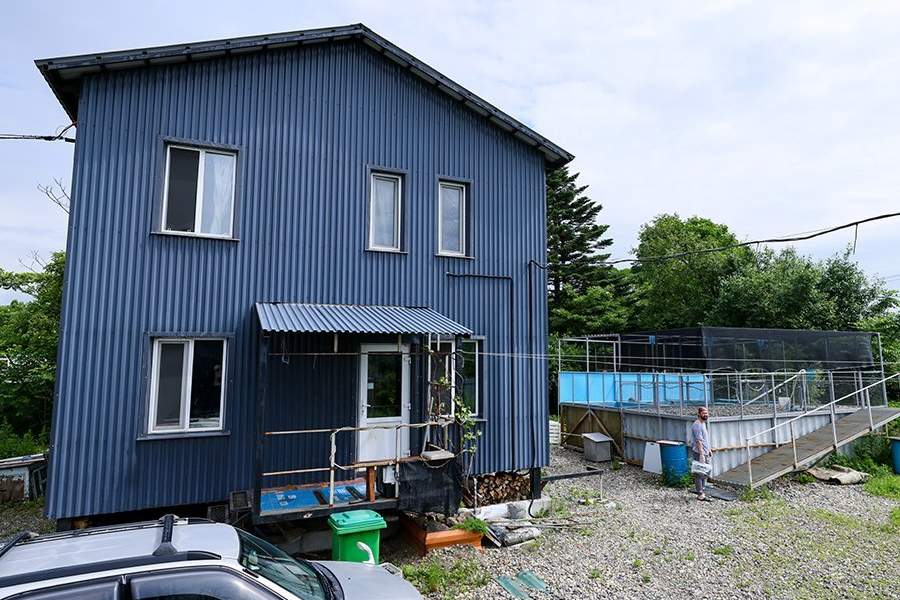 Как работает Центр реабилитации морских млекопитающих «Тюлень»