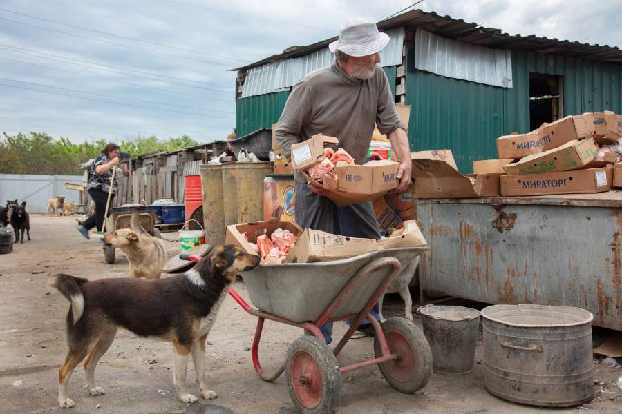 Приют для животных «Феникс»