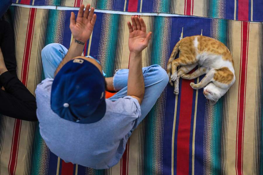 Мусульмане совершают молитву в Курбан-байрам в мечети шейха Абдулкадира Гейлани в Багдаде