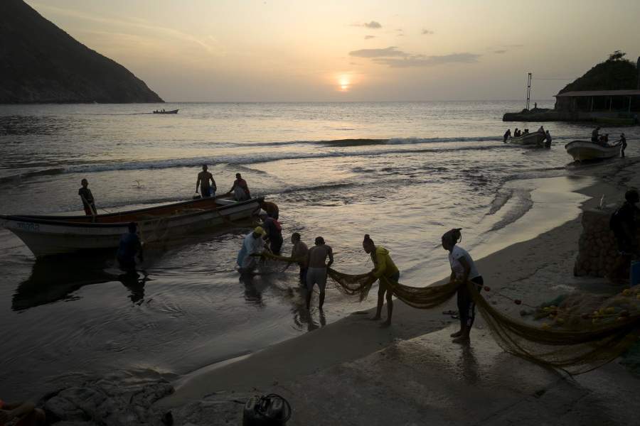 Рыбак Мария Рейес и ее команда вытягивают сеть, чтобы положить ее на пляж после дня рыбалки, Чуао, Венесуэла. Четверг, 8 июня 2023 года. Женщины в прибрежных общинах Чорони и соседнего Чуао работают вместе с мужчинами, чтобы ловить тысячи фунтов рыбы в день