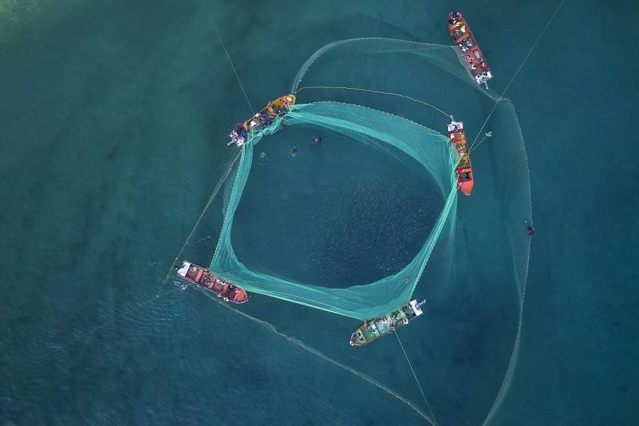 Группа рыбаков и мужчин вытягивает сеть с рыбой у побережья Чуао, Венесуэла, среда, 7 июня 2023 г. Они начинают с того, что забрасывают большую сеть с наживкой, за которой регулярно наблюдает дайвер, и когда замечается косяк, команда бросает сеть меньшего размера и начинает завязывать ее, сближая свои лодки и позволяя им переместить рыбу в свои лодки.