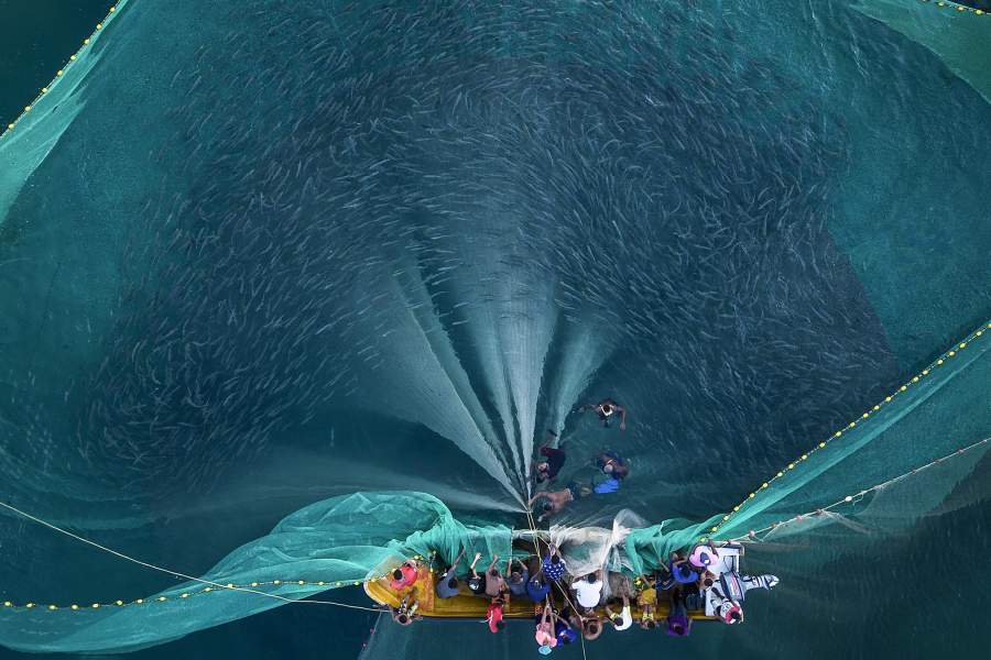 Рыбачки и рыбаки вытягивают сеть с рыбой у побережья Чуао, Венесуэла, рано утром в среду, 7 июня 2023 года. Некоторые женщины присоединяются к семейной традиции рыбалки, а в других случаях начинают новую карьеру после потери работы во время экономического кризиса Венесуэлы