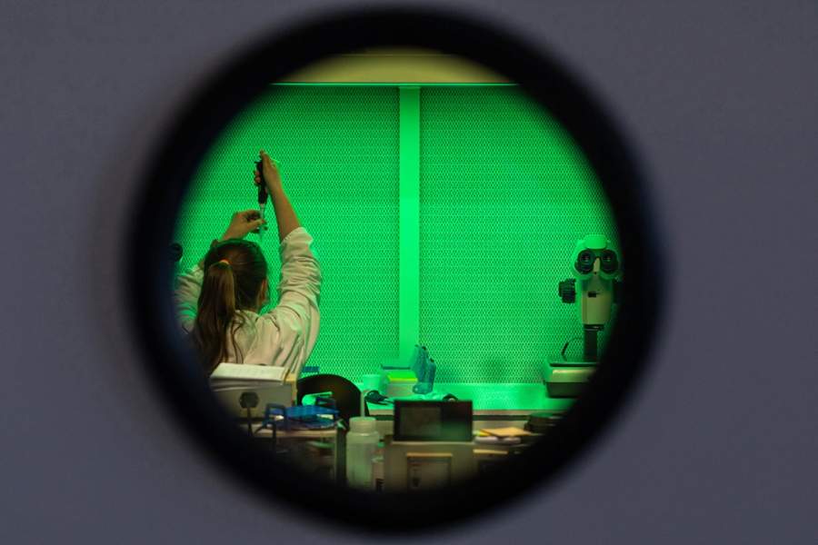 Global Peace Photo Award 2023