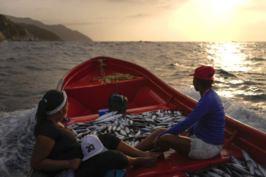 Рыбачки сидят в лодке, полной рыбы, чтобы продать после того, как они провели день на рыбалке у побережья Чуао, Венесуэла. Пятница, 9 июня 2023 года. Некоторые женщины присоединяются к семейной традиции рыбалки, а в других случаях после потери работы начинают новую карьеру во время экономического кризиса в Венесуэле
