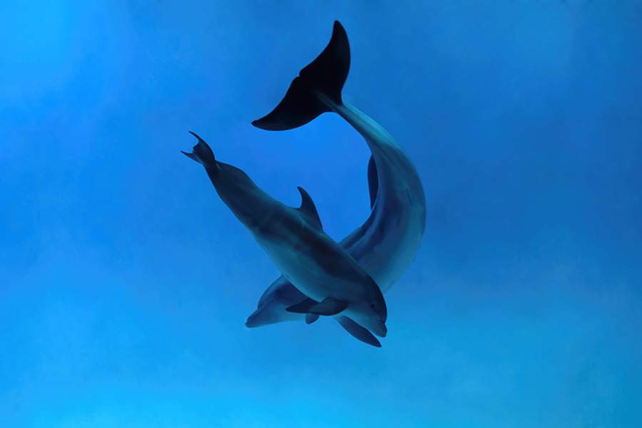 Фото прошедшей недели