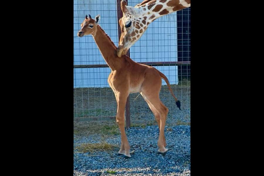 Фото прошедшей недели