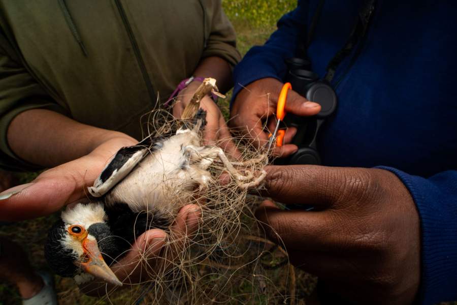 Победители фотоконкурса Bird Photographer of the Year 2023
