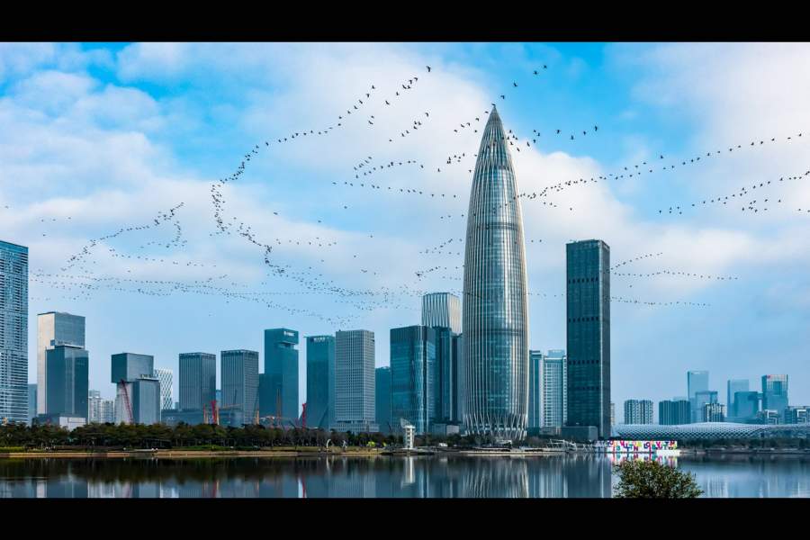 Победители фотоконкурса Bird Photographer of the Year 2023